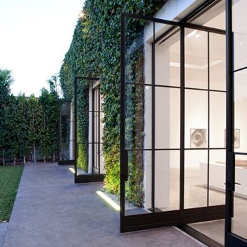 Modern architectural design featuring Euroline Steel Windows and Pivot Doors, with sleek black steel frames holding large glass panels, set against a gallery-like interior and a lushly ivied exterior wall, creating a striking visual contrast and openness.