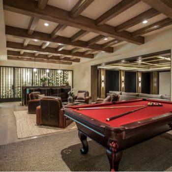 Euroline Steel Windows and Doors specialty doors in a traditional game room with pool table.