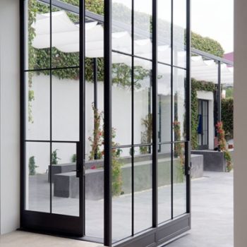 Euroline steel pivot door view into a garden courtyard.