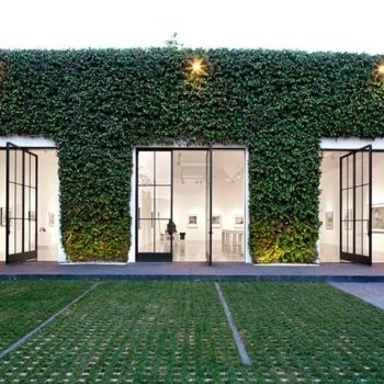 Euroline steel pivot door entrance covered with green ivy.