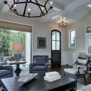 Elegant living room featuring Euroline Steel Windows and Doors pivot door.